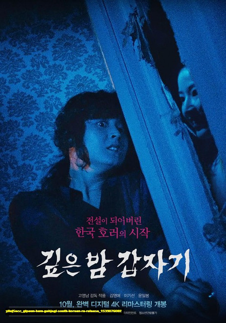 Jual Poster Film gipeun bam gabjagi south korean re release (y8uj5ecc)