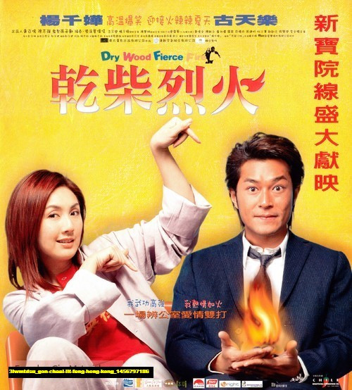 Jual Poster Film gon chaai lit feng hong kong (3lwmtdsu)