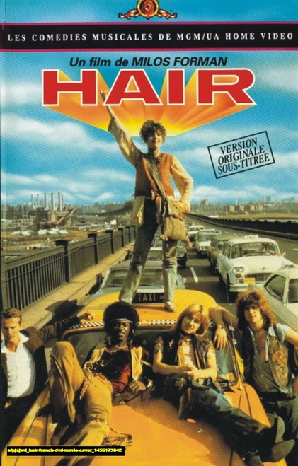 Jual Poster Film hair french dvd movie cover (efpjsjwd)