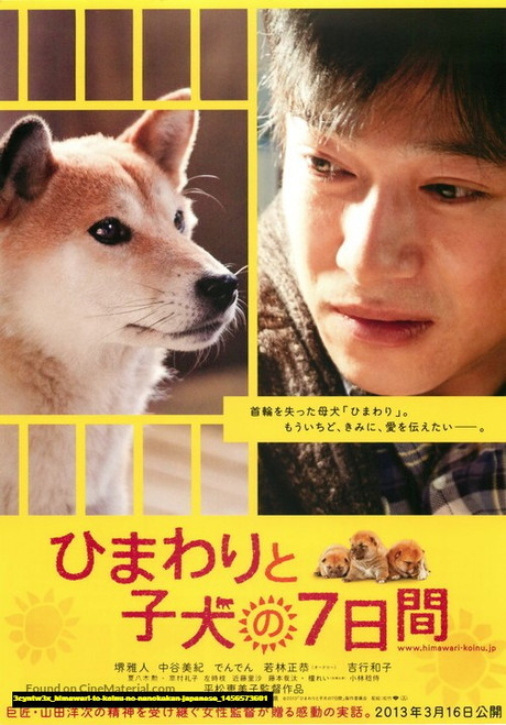 Jual Poster Film himawari to koinu no nanokakan japanese (3cyntw3x)