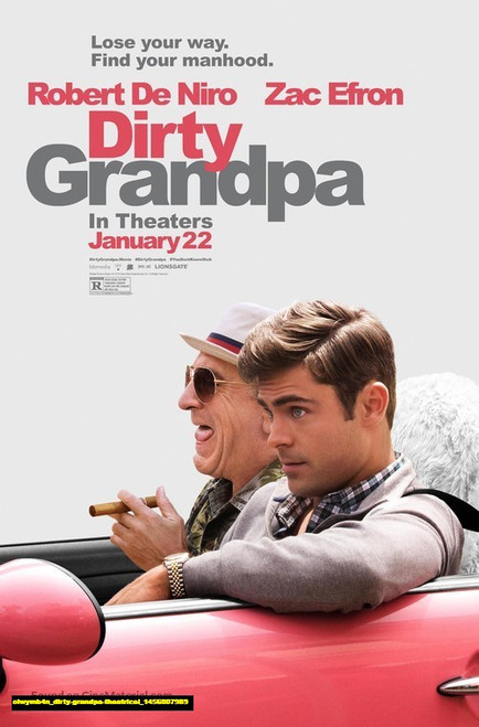 Jual Poster Film dirty grandpa theatrical (olwymb4n)