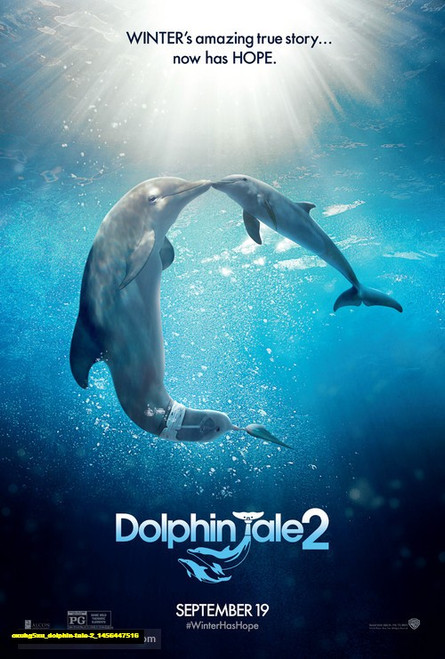 Jual Poster Film dolphin tale 2 (oxuhg5xu)