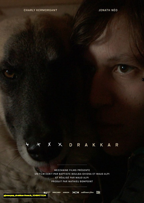 Jual Poster Film drakkar french (gjvmxyap)