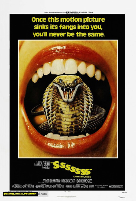 Jual Poster Film sssssss (q79aemty)