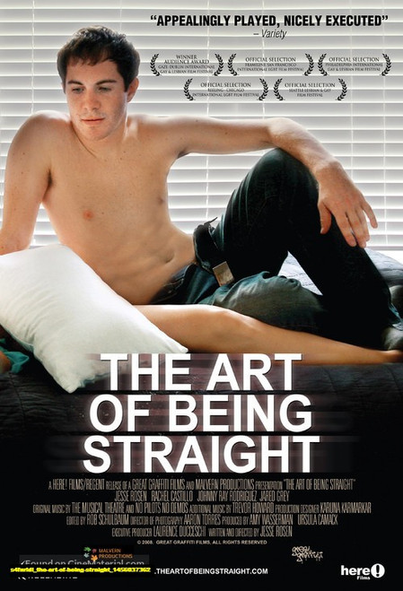 Jual Poster Film the art of being straight (s4fnridl)