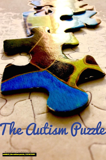 Jual Poster Film the autism puzzle (zuidib55)