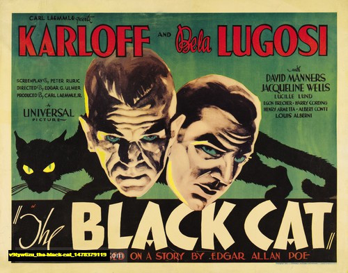 Jual Poster Film the black cat (v9tyw6zu)
