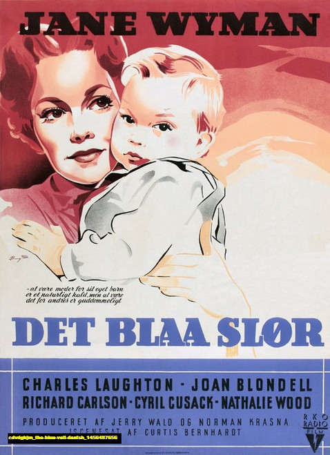 Jual Poster Film the blue veil danish (cdvdgbjm)
