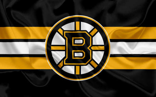 Jual Poster Boston Bruins Emblem Logo NHL Hockey Boston Bruins APC002