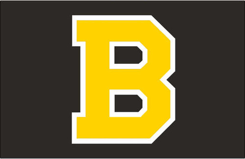 Jual Poster Boston Bruins Hockey Boston Bruins APC001145