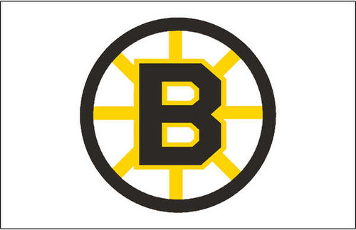 Jual Poster Boston Bruins Hockey Boston Bruins APC002146