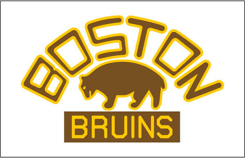 Jual Poster Boston Bruins Hockey Boston Bruins APC005149