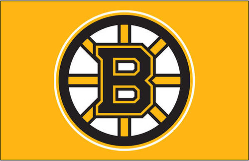 Jual Poster Boston Bruins Hockey Boston Bruins APC008152