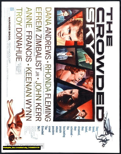 Jual Poster Film the crowded sky (f1aiopim)