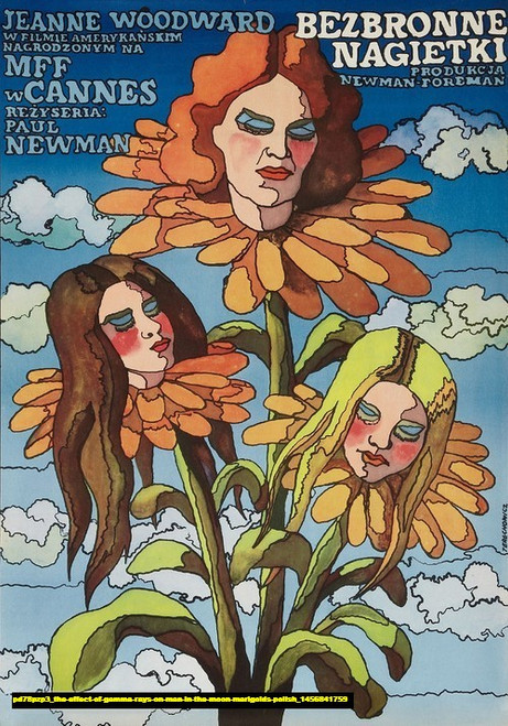 Jual Poster Film the effect of gamma rays on man in the moon marigolds polish (pd78pzp3)