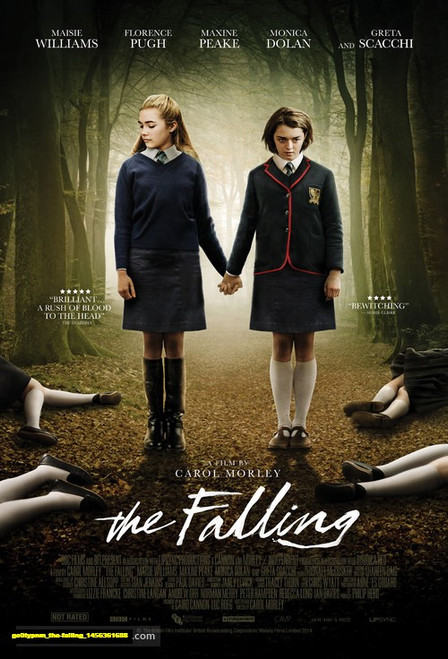 Jual Poster Film the falling (go0typnm)