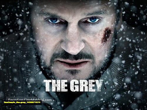 Jual Poster Film the grey (9aa5wq4v) Jual Poster Film the grey (9aa5wq4v)