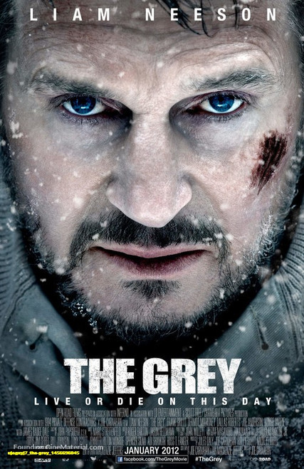 Jual Poster Film the grey (ujegxyj7) Jual Poster Film the grey (ujegxyj7)
