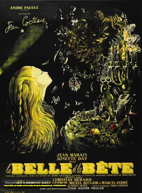 Jual Poster Film la belle et la bete french theatrical (3rq7x2lk)