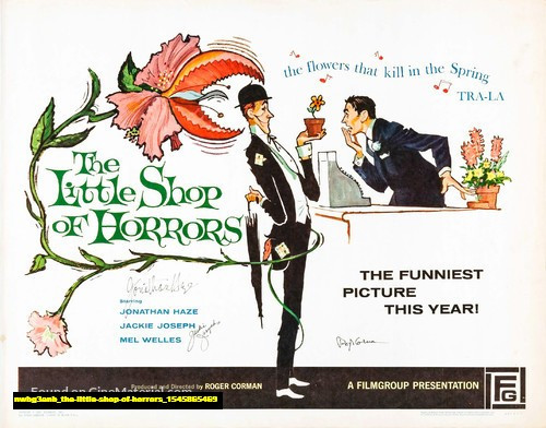 Jual Poster Film the little shop of horrors (nwbg3anb)