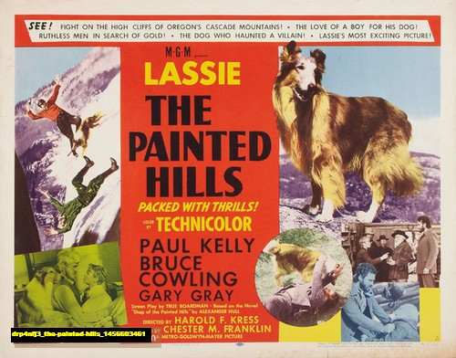 Jual Poster Film the painted hills (drp4nfj3)