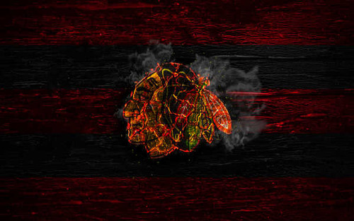 Jual Poster Chicago Blackhawks Emblem Logo NHL Basketball Chicago Blackhawks APC001 Jual Poster Chicago Blackhawks Emblem Logo NHL Basketball Chicago Blackhawks APC001