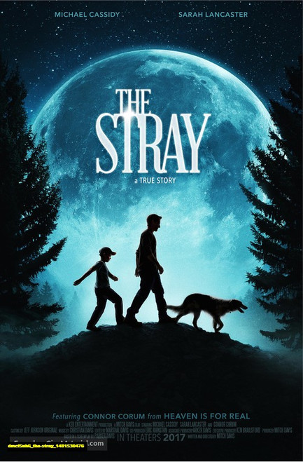 Jual Poster Film the stray (dmcf5uh6)