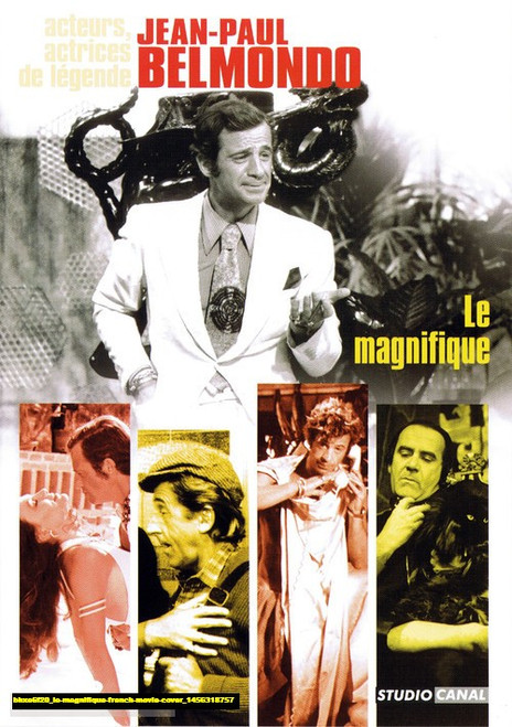Jual Poster Film le magnifique french movie cover (bhxe6f20)