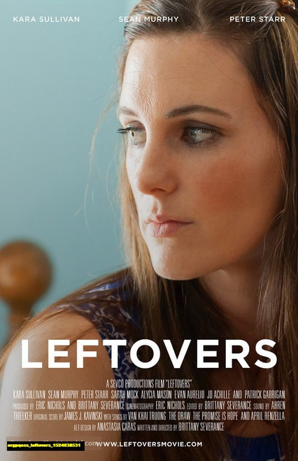 Jual Poster Film leftovers (ergpqoss)