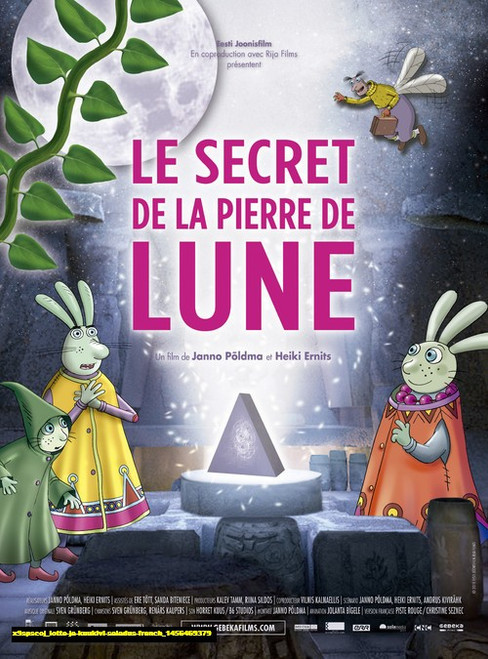 Jual Poster Film lotte ja kuukivi saladus french (x9spscoj)