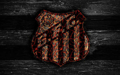 Jual Poster Emblem Fire Logo Santos FC Soccer Soccer Santos FC APC