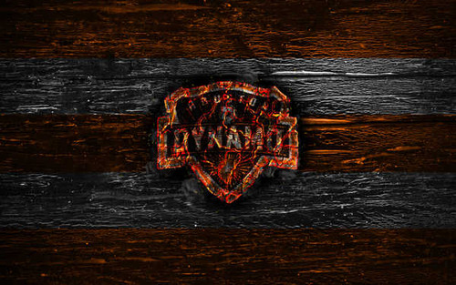 Jual Poster Emblem Houston Dynamo Logo MLS Soccer Soccer Houston Dynamo APC003