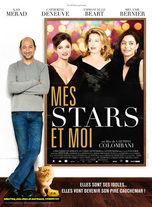 Jual Poster Film mes stars et moi french (bdbx73nq)