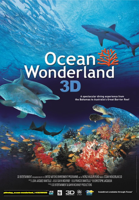 Jual Poster Film ocean wonderland (phlvatqq)