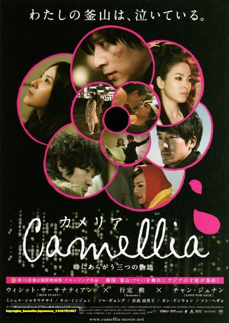 Jual Poster Film kamelia japanese (lnyragke)