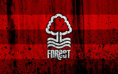 Jual Poster Emblem Logo Nottingham Forest F.C. Soccer Soccer Nottingham Forest F.C. APC008