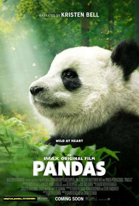Jual Poster Film pandas (rpkg7sel)