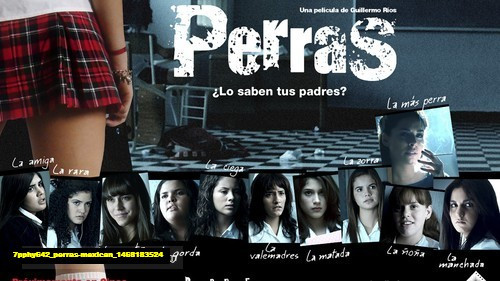 Jual Poster Film perras mexican (7pphy642)