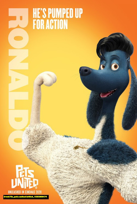 Jual Poster Film pets united british (3rvok78z)