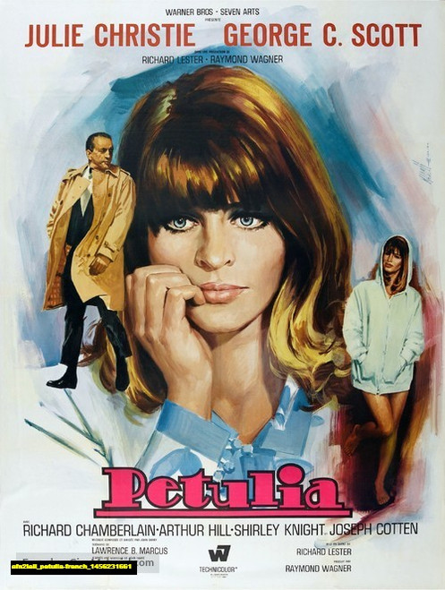 Jual Poster Film petulia french (afn2iall)