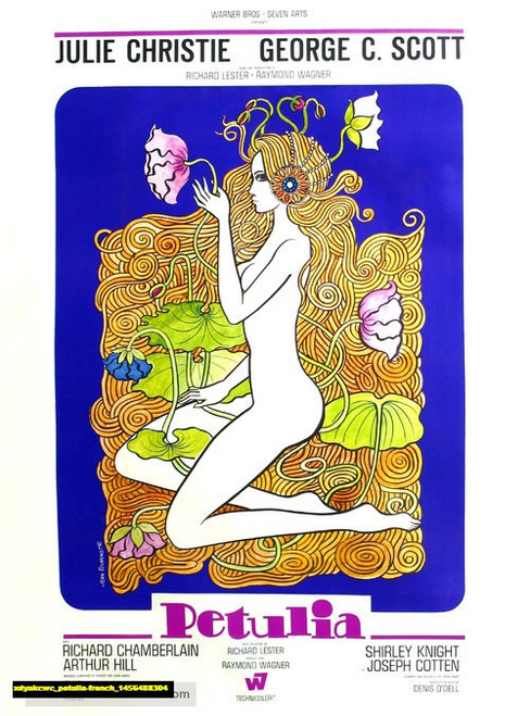 Jual Poster Film petulia french (xdyakcwc)