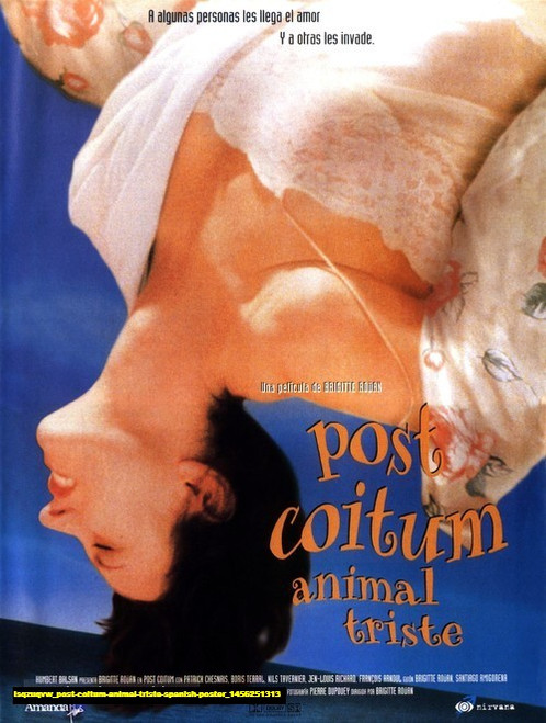 Jual Poster Film post coitum animal triste spanish poster (isqzuqvw)