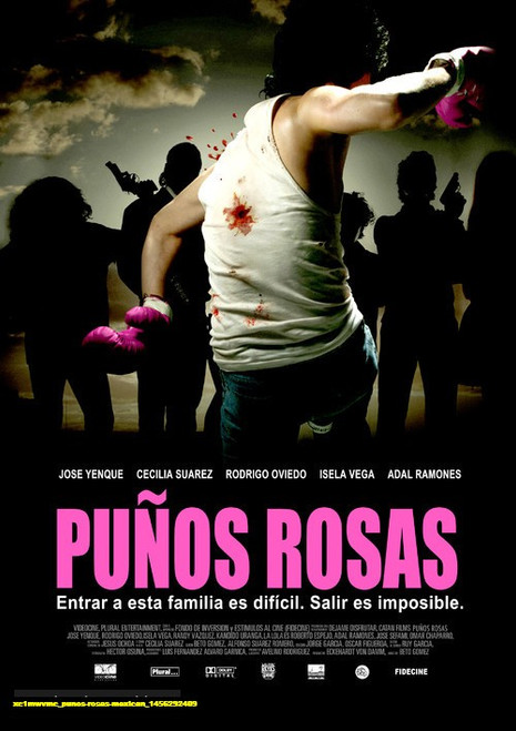Jual Poster Film punos rosas mexican (xc1mwvmc)