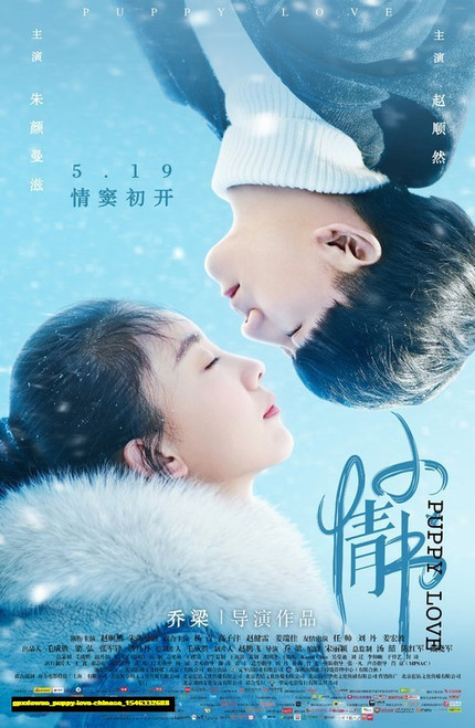 Jual Poster Film puppy love chinese (gpxdowue)