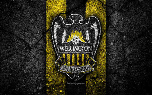 Jual Poster Emblem Logo Soccer Wellington Phoenix FC Soccer Wellington Phoenix FC APC006