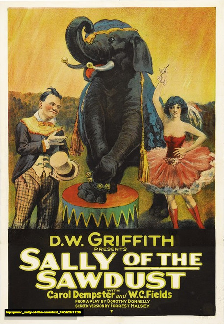 Jual Poster Film sally of the sawdust (iupsyumc)