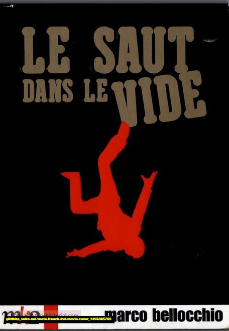 Jual Poster Film salto nel vuoto french dvd movie cover (giltfbbp)