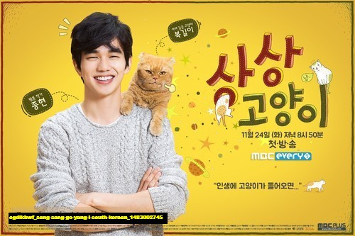 Jual Poster Film sang sang go yang i south korean (ogdikbwf)