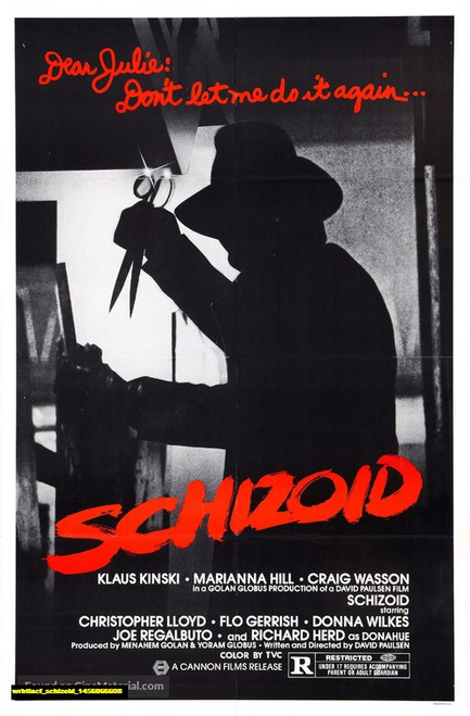 Jual Poster Film schizoid (wrbtiacf)