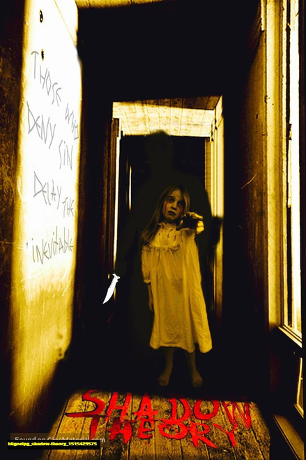 Jual Poster Film shadow theory (b6goolpg)